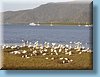 australia_003.jpg