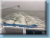 australia_027.jpg