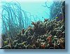 australia_044.jpg