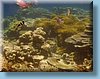australia_046.jpg