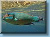 australia_049.jpg