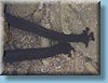 australia_057.jpg