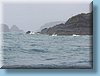australia_062.jpg
