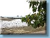 australia_073.jpg