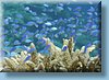 australia_078.jpg