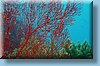 australia_080.jpg