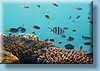 australia_081.jpg