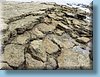 australia_091.jpg
