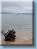 australia_092.jpg