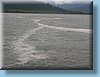 australia_095.jpg