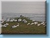 australia_097.jpg