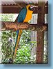 australia_113.jpg