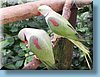 australia_117.jpg