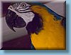 australia_120.jpg