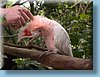 australia_121.jpg