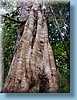 australia_140.jpg