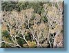 australia_144.jpg