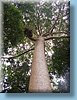 australia_145.jpg