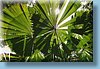 australia_146.jpg