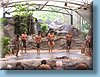 australia_149.jpg
