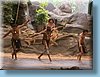 australia_151.jpg