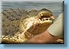 australia_164.jpg