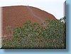 australia_191.jpg