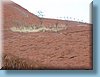 australia_192.jpg