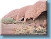 australia_205.jpg