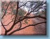 australia_214.jpg