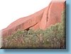australia_215.jpg