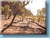 australia_221.jpg