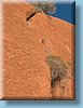 australia_227.jpg