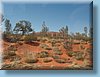 australia_235.jpg