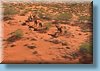 australia_237.jpg