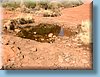 australia_245.jpg