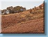 australia_250.jpg