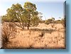 australia_251.jpg
