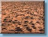australia_262.jpg