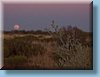 australia_270.jpg