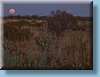 australia_271.jpg