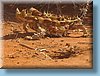 australia_280.jpg