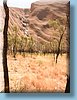 australia_291.jpg