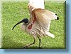 australia_306.jpg