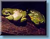 australia_369.jpg