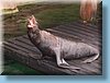 australia_371.jpg