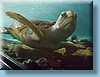 australia_377.jpg