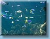 australia_378.jpg