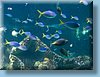 australia_379.jpg