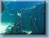 australia_381.jpg